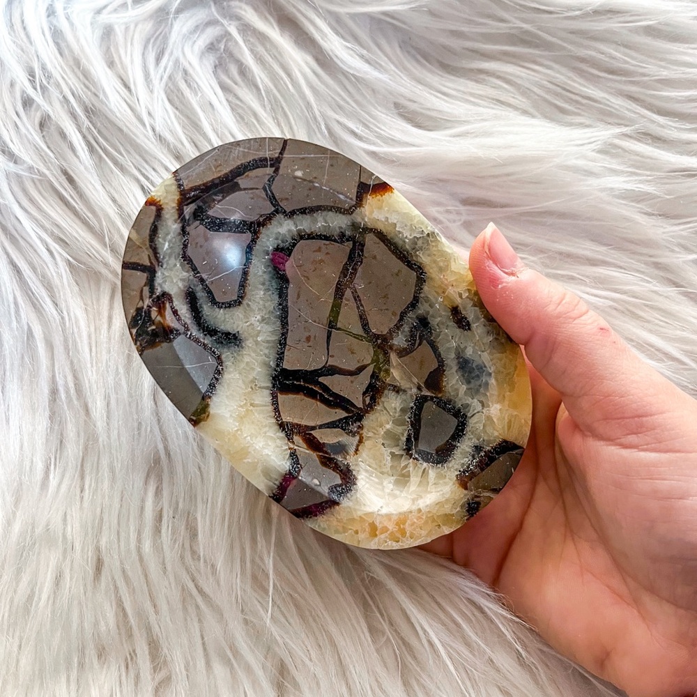 Septarian bowl